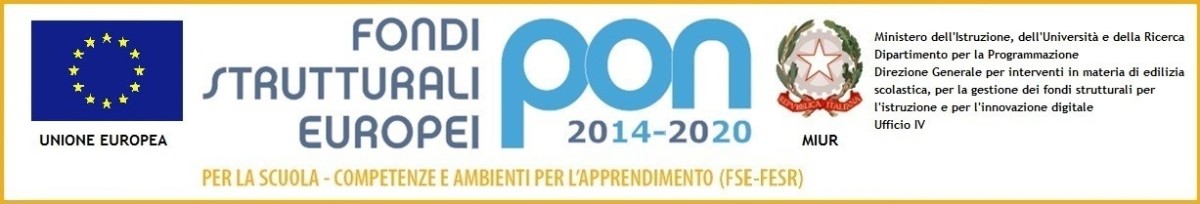 PON logo